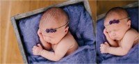south wales newborn photographer